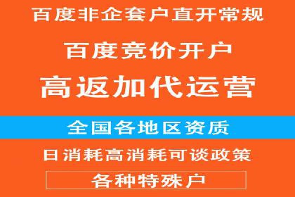 大型企业SEM外包实战案例
